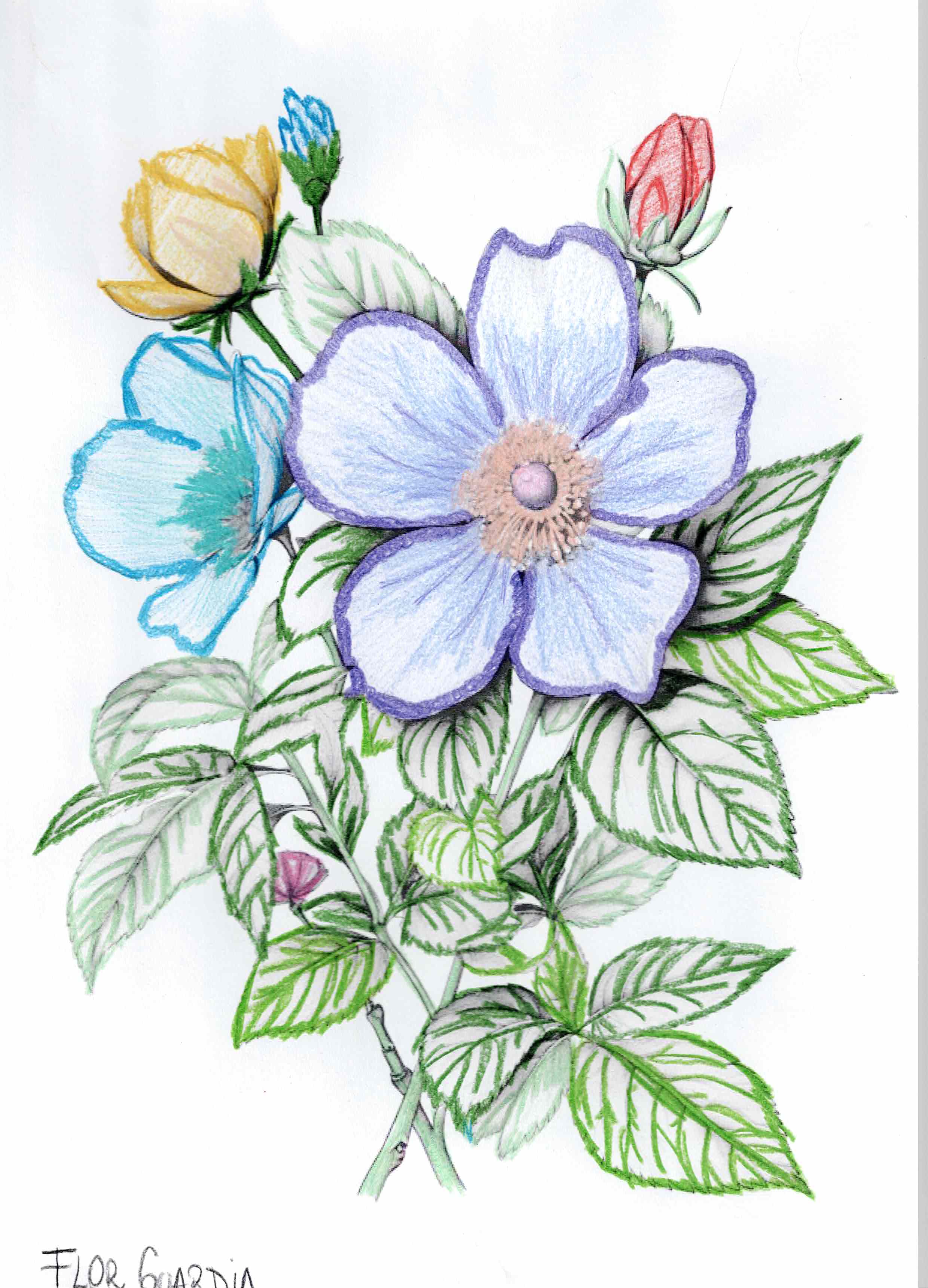 Artwork by Flor Guardia